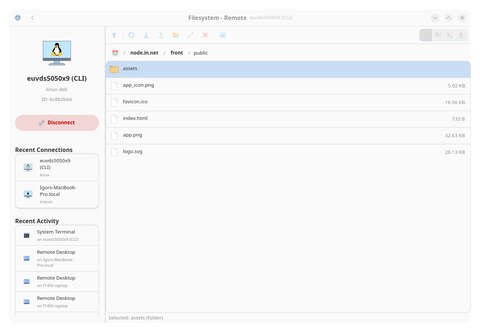 Secure P2P File Manager