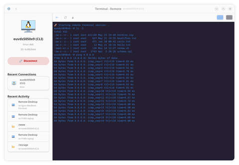 Interactive PTY Terminal